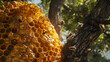 © Thinnawat - Honeybees busy at work on a hive nestled in a tree, basking in the warm sunlight filtering through the leaves.