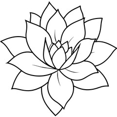    Flower vector illustration with line art.
