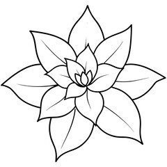    Flower vector illustration.
