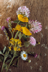 Wall Mural - Wild flowers on old grunge wooden background (Aster amellus, Buttercup, Lucerne, Cirsium, Trifolium)