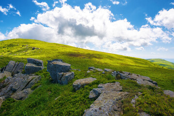 Wall Mural - green alpine hills and meadow of carpathians in dappled light. stones among the grass beneath a blue