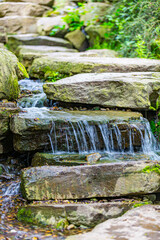 Wall Mural - Clean water flowing between rocks of small waterfall, green vegetation in blurred background, sunny day in Japanese garden in public park