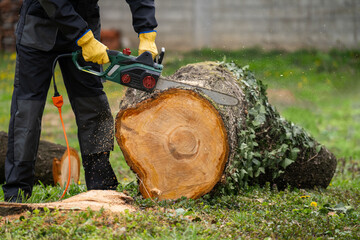 A man in uniform cuts an old tree in the yard with an electric saw