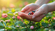 © SashaMagic - Ladybug on a person's hand.