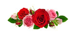 Fototapeta Panele - Red and pink rose flowers and green leaves in a line arrangement isolated on white or transparent background. Flat lay. Top view.
