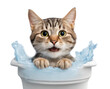 A cute cat is sitting in a bathtub full of water and looks very surprised.