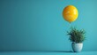 White flowerpot Cactus floating on blue background with yellow balloon. Minimal concept.