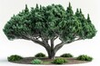Majestic Cypress Tree Standing Tall in Solitude Generative AI