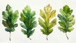Watercolor Oak Leaves in Whimsical Patterns Generative AI