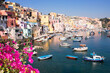Procida island colorful town with harbor at summer with flowers, Italy