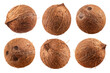 Coconut isolated set. Collection of coconuts on a transparent background, from different angles.