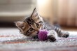 Cute tabby kitten enjoying a pink knitting ball on a comfy rug
