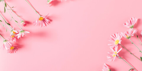 Wall Mural - beautiful flowers composition. pink flowers on pastel pink background. valentines day, easter, birth