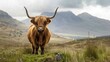 Bull, Scottish Highlands generative ai