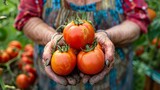 Fototapeta Kwiaty - Farmers hold freshly harvested tomatoes in their hands generative ai