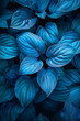 Sapphire Leaves: A Close-Up of Blue Botanical Textures
