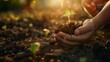 © Kelly - a child's hand holding earth, sprouting a tree, environmental concept generative ai