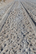 Backdrop of tire tracks in soft beach sand, creative copy space for travel and journey themes, vertical aspect
