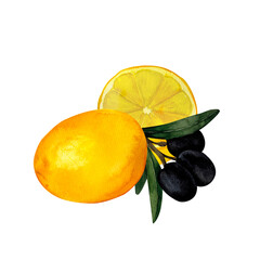 Sticker - Olive branches and juicy lemons, Mediterranean citrus composition, hand-painted watercolor wall art for printing on invitations, labels, product packages, kitchen and restaurant design and decoration