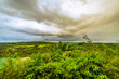 Expansive view of the Costa Rican landscape from Uvita, featuring lush greenery under a dramatic stormy sky, with a glimpse of the Pacific Ocean on the horizon. High quality photo. Uvita Puntarenas