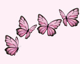 Fototapeta Motyle - butterfly fronts  art design 