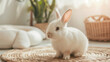 Soft White Cute Rabbit. embodying Softness and Serenity. A Delicate White Bunny Rests Peacefully, Radiating Innocence in a Cozy Corner - Image made using Generative AI