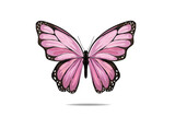 Fototapeta Motyle - butterfly pink butterly art
