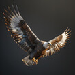 A Bird of prey, Accipitridae, Eagle flies in dark with spread wings