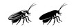 Cockroach black silhouettes, detailed and solid. Insect vector illustration set. Isolated on white backdrop Concept of pest control, infestation, home hygiene. For design, print, educational material