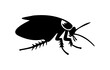 Black cockroach vector illustration. Silhouette of a pest insect isolated on white background. Concept of pest control, infestation, and home hygiene. For design, print and educational material.