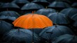 © saifur - One orange umbrella between other black umbrellas group background. AI generated image