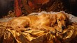 golden dog on a bed