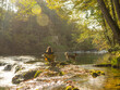 LENS FLARE: Woman sits in a camping chair by a serene river with her dog nearby