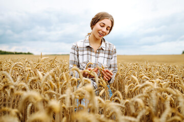 Fototapete - Woman  farmer checking the quality of wheat grain on the spikelets at the field. Woman farm worker touches the ears of wheat to assure that the crop is in good condition. Agriculture, business, harves