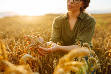 Fototapete - Woman agronomist in a field checks the growth of the crop. Growth nature harvest. Agriculture farm.