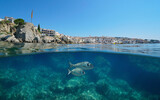Fototapeta  - Spain town on the Mediterranean coast seen from sea surface with fish underwater, natural scene, split view half over and under water surface, Calella de Palafrugell, Costa brava
