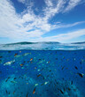 Shoal of fish underwater and blue sky with cloud, seascape in the Mediterranean sea, split view over and under water surface, natural scene, France