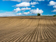 Arable field with lonely tree in the horizon