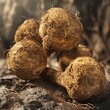 Capture the grandeur of Maca root extract in a low-angle view, highlighting its intricate textures and rich colors through hyper-realistic digital rendering techniques
