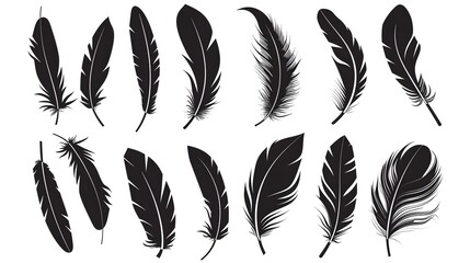 Bird Feather black silhouettes. Plumelet collection. Vector isolated on white
