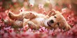 photo of adorable puppy rolling in spring blossoms, bright and colorful, windy day,