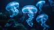 Electric blue jellyfish with bioluminescence swimming in azure water