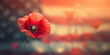A single poppy in sharp focus, with a serene sunset backdrop, evokes Memorial Day tribute. Copy space, banner