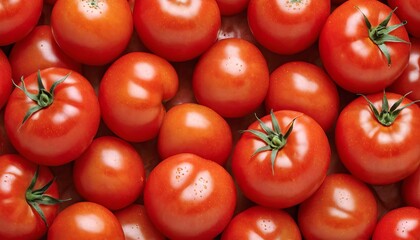 Wall Mural - Red tomatoes, ripe, juicy, fresh organic, close-up. Useful and nutritious ingredients in cooking. Concept for vegetables, recipes, salads.