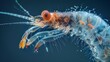 A scanning electron microscope image of a krill larva a vital link in the ocean food chain as a primary food source for many larger