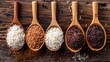 Variety type and color of rice ; paddy rice, riceberry ,brown coarse rice and white thai jasmine rice in wooden spoon isolated on old rustic wood table background. Healthy food concept. Flat lay.