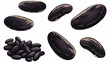 Watercolor illustration of black kidney beans. Set