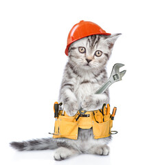 Wall Mural - Funny cat worker wearing hardhat and toolbelt standing on hind legs and holds adjustable wrench.  Isolated on white background