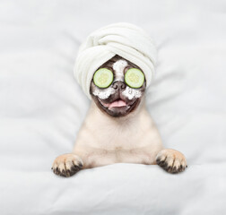 Fototapete - Funny Pug puppy with towel on his head, with cream on his face and with a piece of cucumber on his eyes relaxing on the bed at home. Top down view
