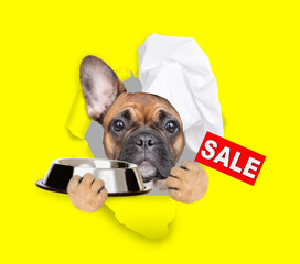 Wall Mural - French bulldog puppy wearing chef's hat looking through the hole in yellow paper and holding empty bowl